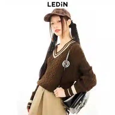 LEDIN V