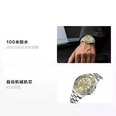 Sea-Gull 816.97.6118