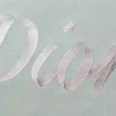 Dior FW22 Logo Print T-Shirt