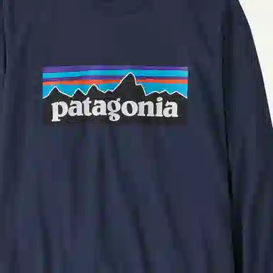 patagonia T
