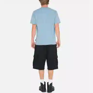 Stussy Sport Cargo Fleece Short 2023