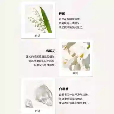 Maison Margiela 2025 EDT 100ml