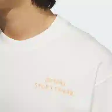 adidas GRAPHIC T-SHIRT 2 T