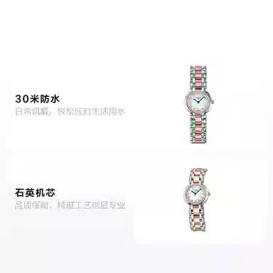 LONGINES 30 23mm L8.109.5.89.6