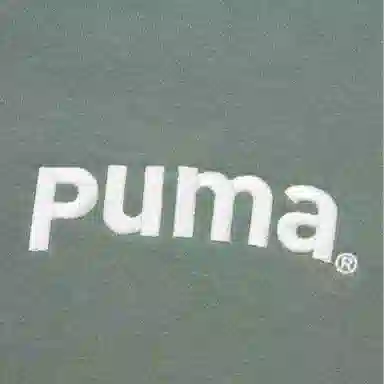 PUMA TEAM FZ HOODIE TR