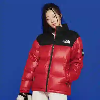 The North Face