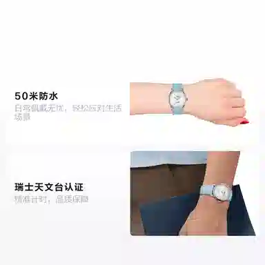 Tissot Le Locle Automatic 34mm