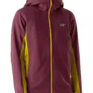 Arcteryx GAMMA