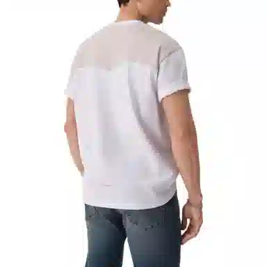 levis T