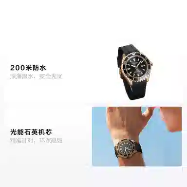 Citizen Promaster BN0193-17E