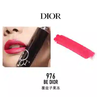 DIOR 008 Dior g
