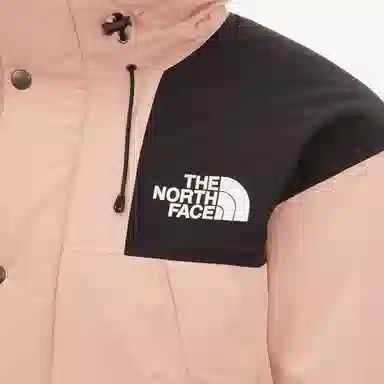 The North Face Mountain Down Gore-Tex