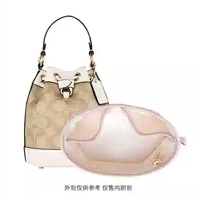 bagINBAG