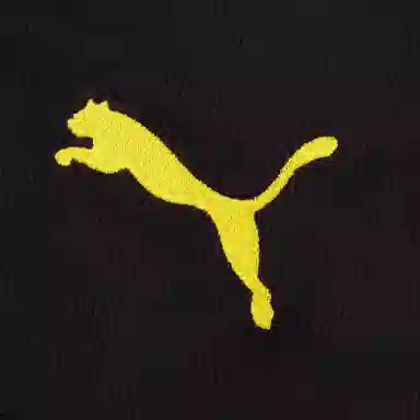 PUMA BVB SS25 SHORTS REPLICA W BLOCKING