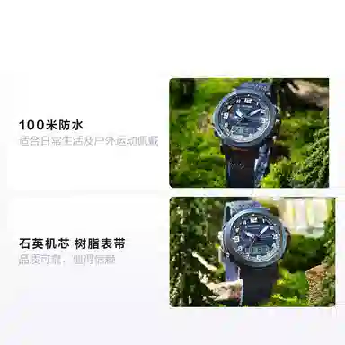 CASIO PROTREK PRG-601