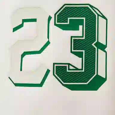 Jordan AirFlight Court of Legends 23