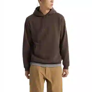 Arcteryx Emblem Hoodie