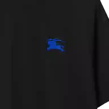 Burberry Logo T