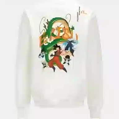 EVISU x Dragon Ball Z