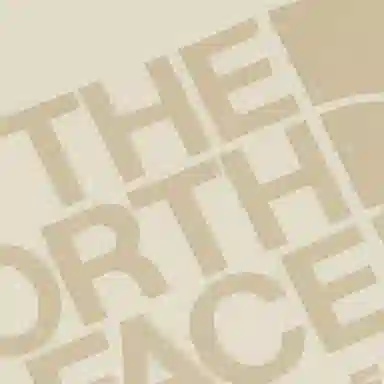 THE NORTH FACE Cotton Logo Ss Rtee LogoT