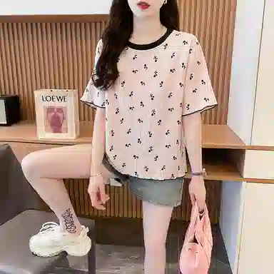LAKESI inst T