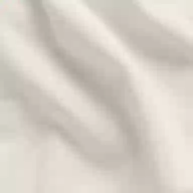 SKIMS Cotton Jersey Long Sleeve Tee Bone