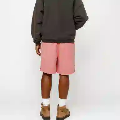 Stussy SS24 WATER SHORT PIGMENT STOCK Logo