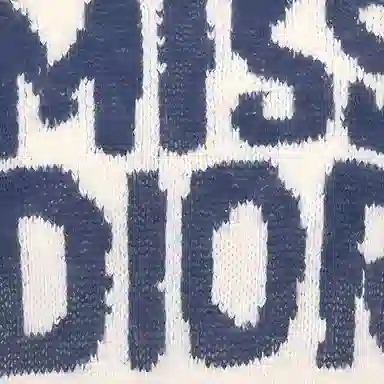 DIOR FW24 Logo