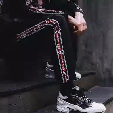 Champion Reverse Weave RW