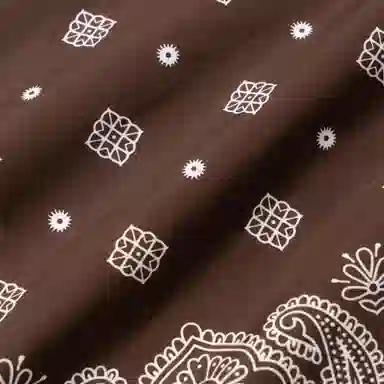 Miu Miu SS25 Printed Shirt Brown