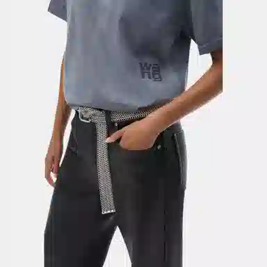 alexander wang FW24T