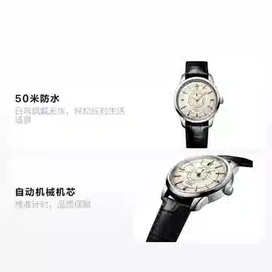 Longines Conquest L1.648.4.78.2