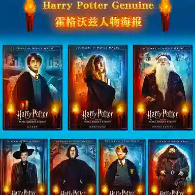 HARRY POTTER 730cmX43cm