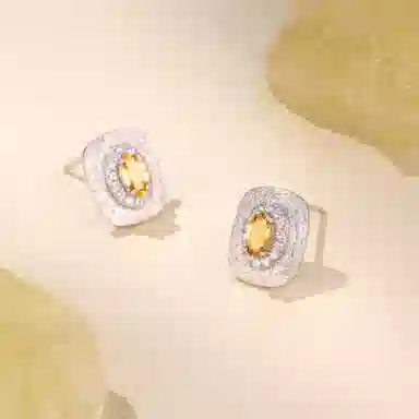 阿黛丽 轻奢大气 水晶 耳钉 女款