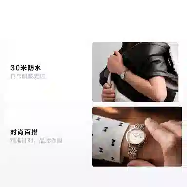 LONGINES 29mm L4.310.5.87.7