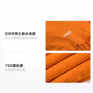 The North Face Nuptse 700 Orange