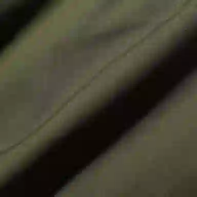 THE NORTH FACE PURPLE LABEL