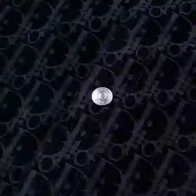 DIOR FW22 Logo