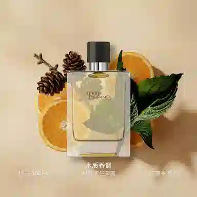 Hermes Terre d'Hermes EDT