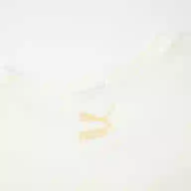 PUMA CLASSICS GS SHORTSLEEVE TEE T