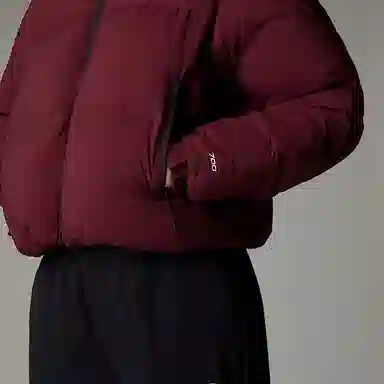 THE NORTH FACE Nuptse FW24 RMST Convertible logo