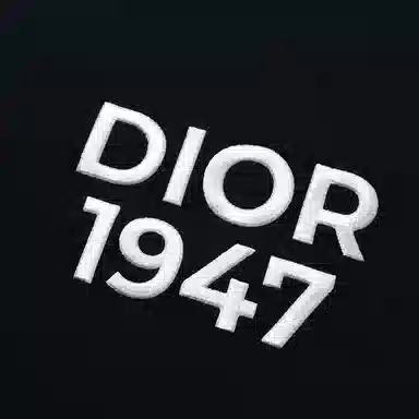 DIOR Logo SS24T