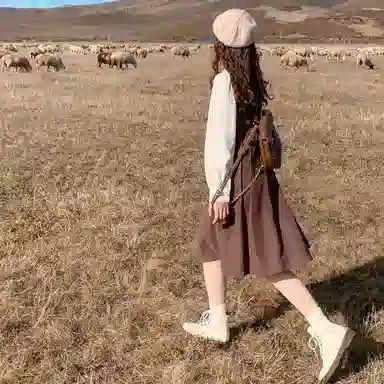 小镇姗姗 翻领拼接单排扣套头长袖连衣裙