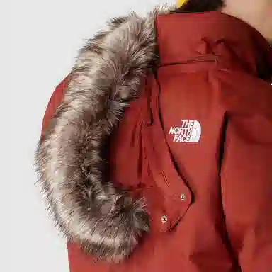 THE NORTH FACE Logo