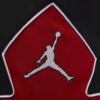 Jordan Logo