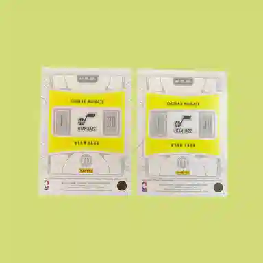 PANINI 2022-23 PANINI 8799+9599 2