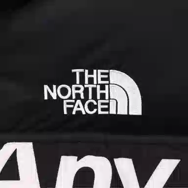 Supreme x The North Face FW15 Black