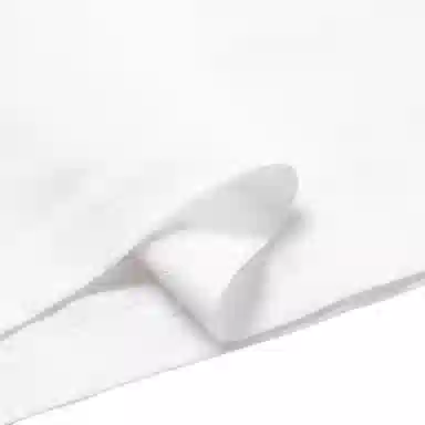 Polo Ralph LaurenT Logo