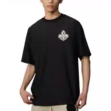 palladiumT