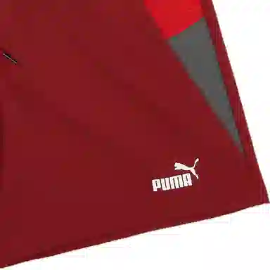 PUMA AC MilanTraining Shorts logo